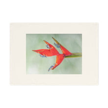 Load image into Gallery viewer, Cotton Tea Towel