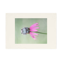 Load image into Gallery viewer, Cotton Tea Towel