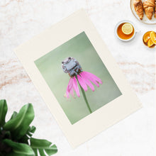 Load image into Gallery viewer, Cotton Tea Towel