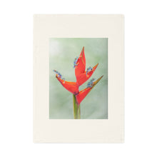 Load image into Gallery viewer, Cotton Tea Towel
